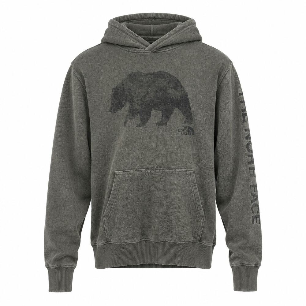 The North Face Men's Bearinda Graphic Pullover Hoodie Green M F19 A3X6C